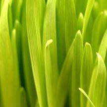 智能高效又实用的网站ddos隐藏源ip