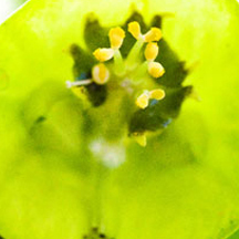 替您掌控全局的网站ddos隐藏源ip